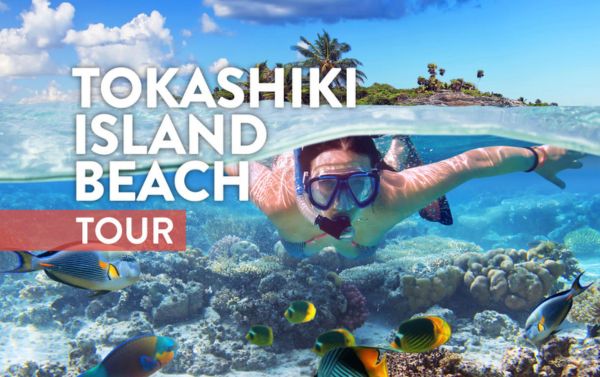 Tokashiki Beach Sea Turtle Snorkeling