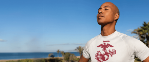 vehicle violation citation