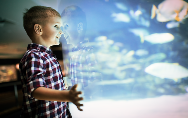 DMM Kariyushi Aquarium & Toyosaki Chura SUN Beach