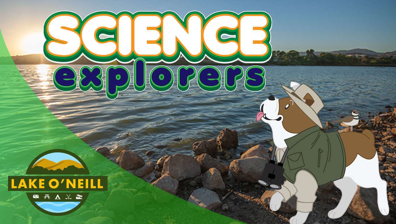 Science Explorers: How to Travel the World in Your Own Backyard