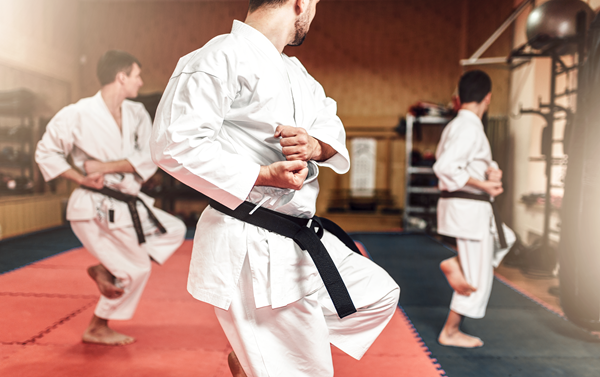 Setkudo Mixed Martial Arts (Adults)