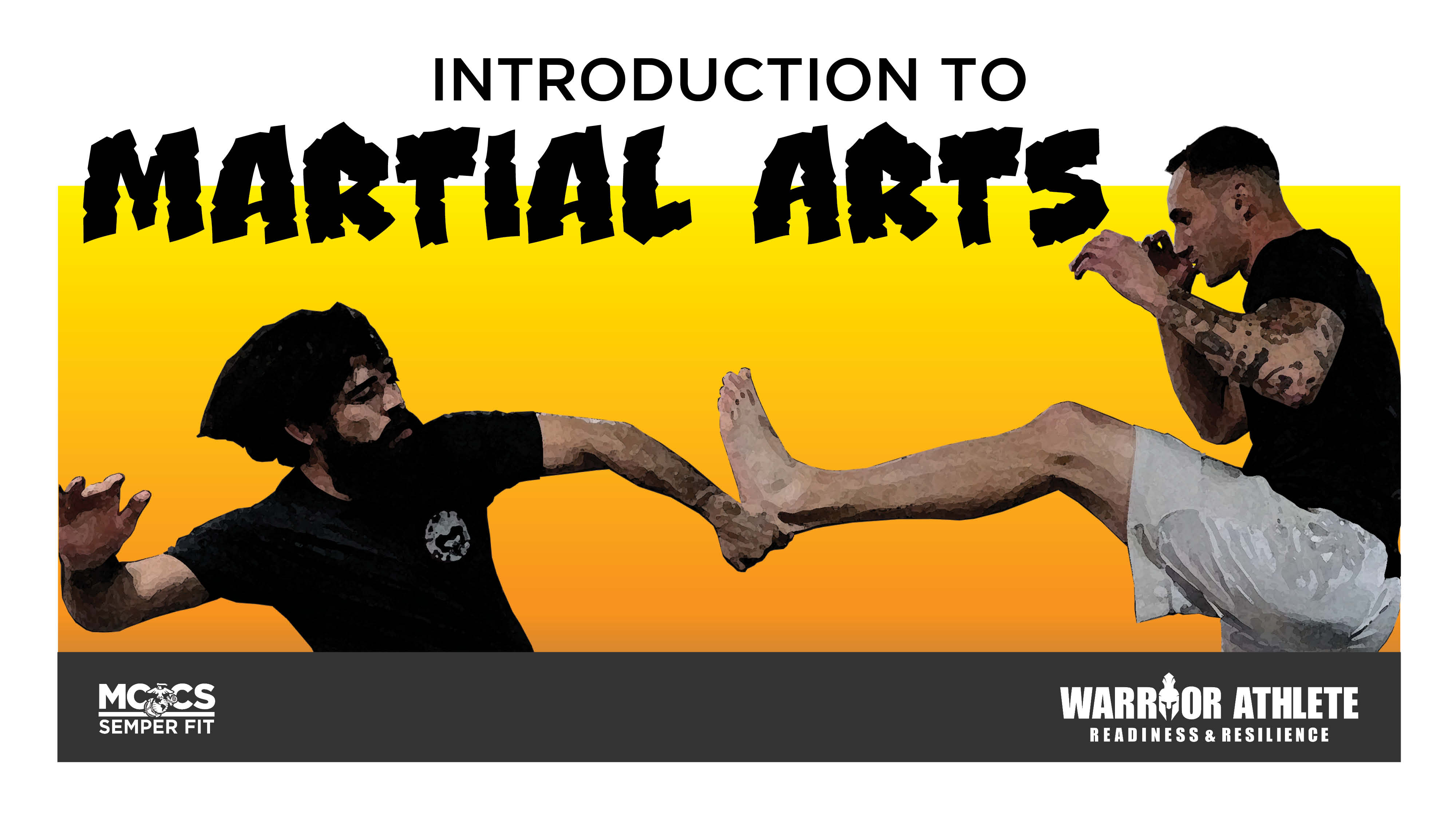 Introduction to Martial Arts