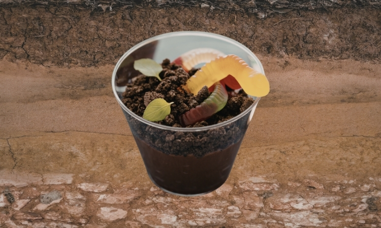 Layers of the Soil Pudding Cups, Part of the 2026 MCCS Summer Reading Program: Plant A Seed, Read