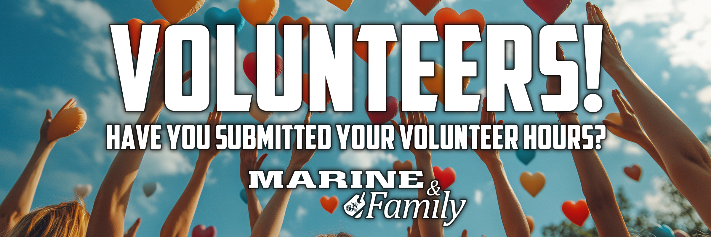 web-banner_VOLUNTEERS.jpg
